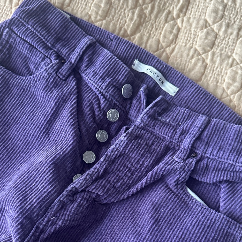 PacSun Violet Corduroy Trousers